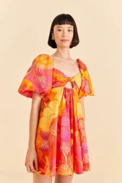 Farm Rio Summer Garden Ombre Mini Dress